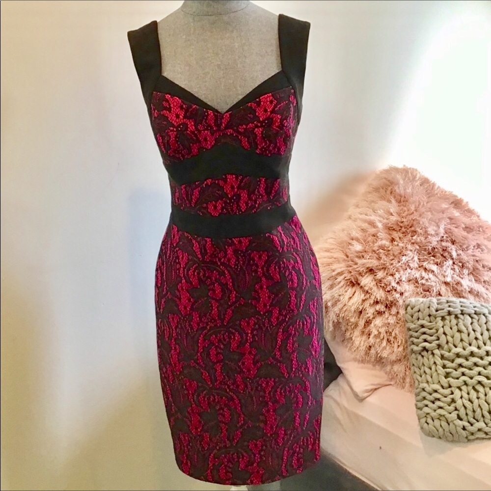 Cache Lace Overlay Dress